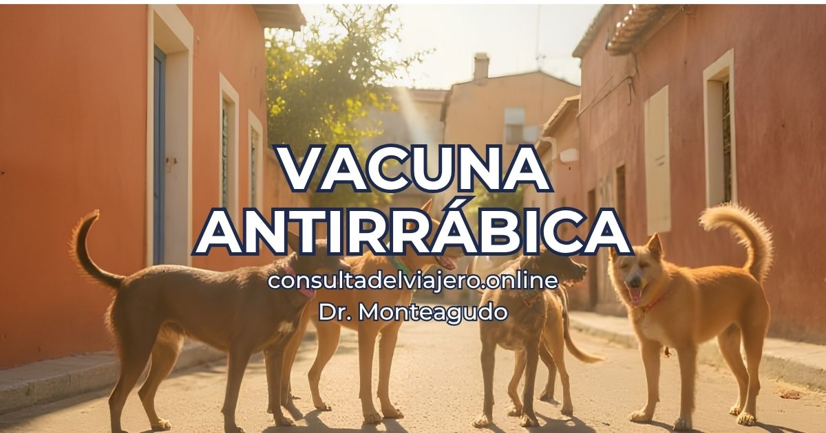 vacuna antirrábica consulta del viajero online Dr Juan F Monteagudo